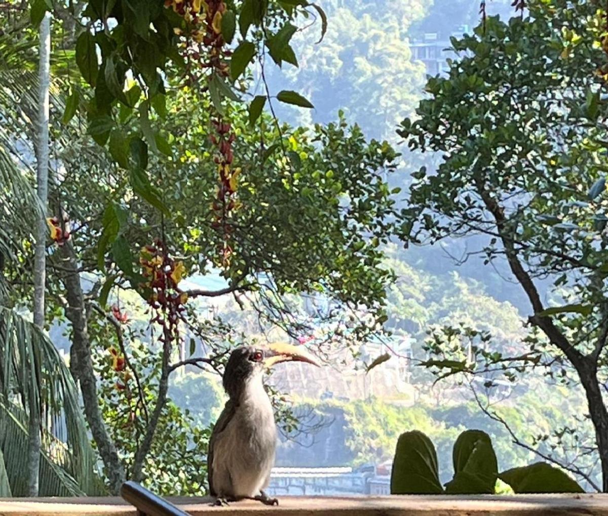 Ella Rawana Resort 외부 사진