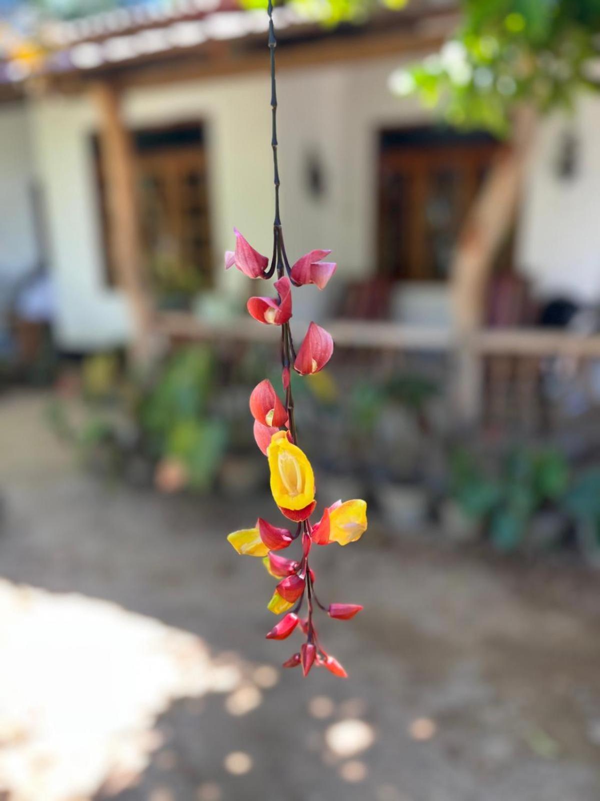 Ella Rawana Resort 외부 사진